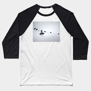 Six Birds and a Light Baseball T-Shirt